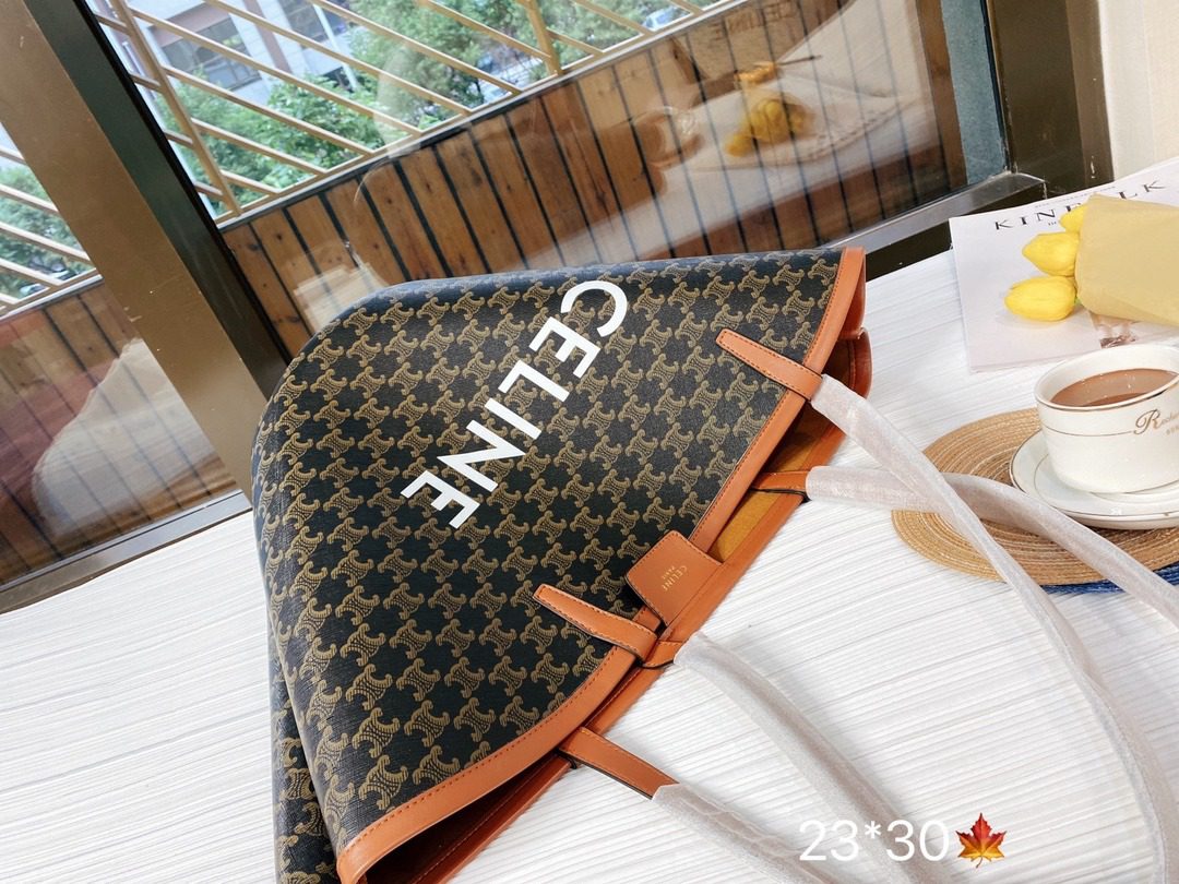 CELINE SMALL BUCKET IN TRIOMPHE CANVAS AND CALFSKIN WHITE