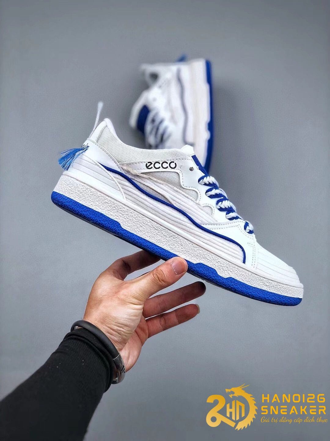ECCO The Mswain
