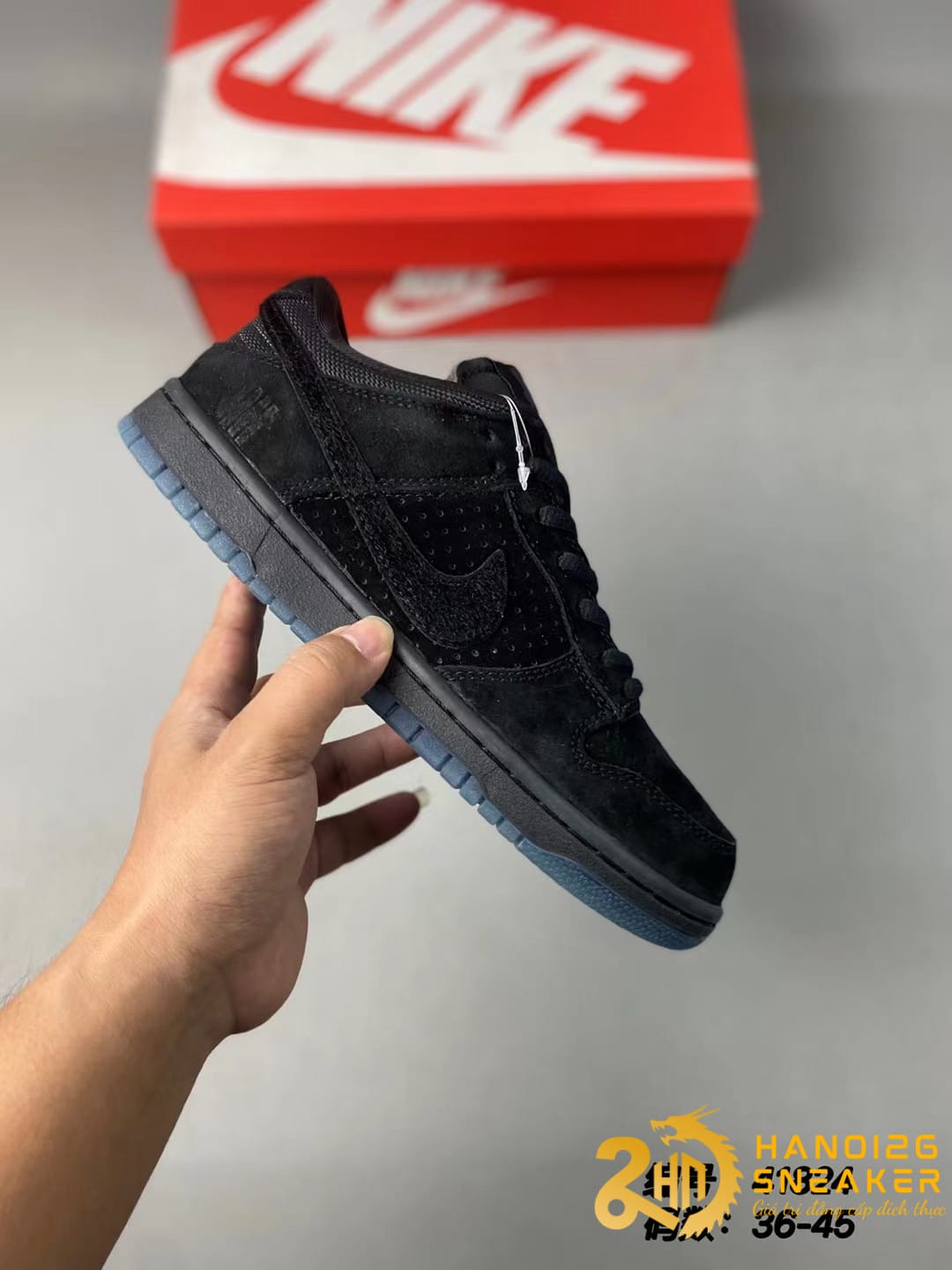 Nike SB Dunk Low | Black