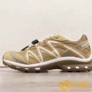 Bộ Sưu Tập Giày Salomon XA PRO 3D ADV Silver Brown Black (2)