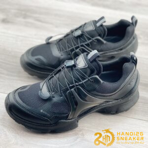 Bộ Sưu Tập Giày ECCO Blom C All Black (1)