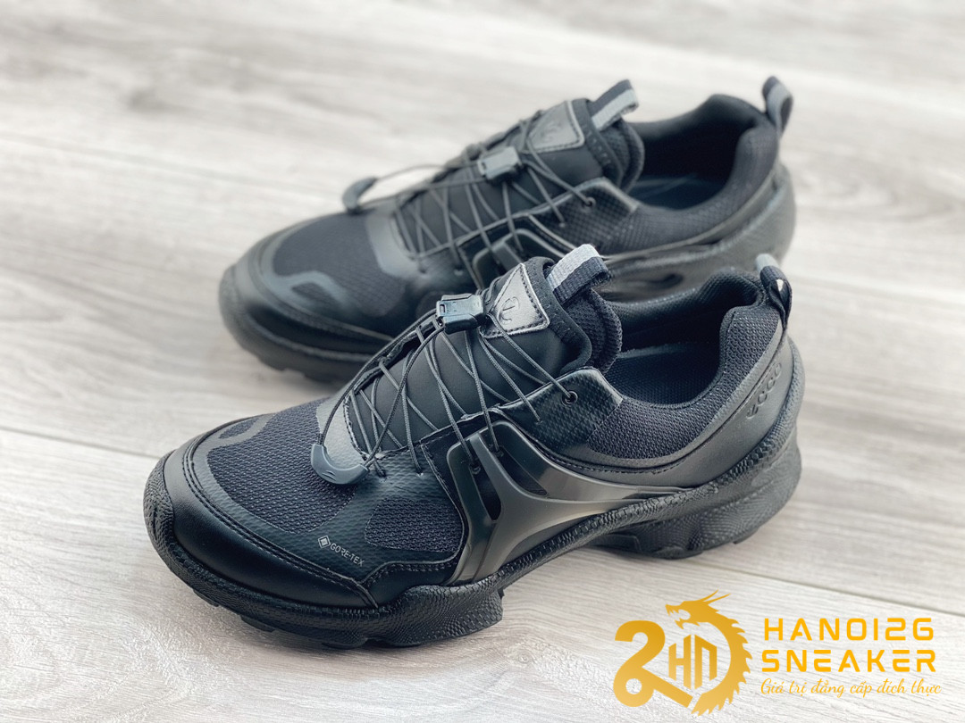 Bộ Sưu Tập Giày ECCO Blom C All Black (1)