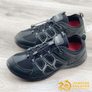Bộ Sưu Tập Giày Ecco Mens Terracruise Lite Textile Synthetic Trainers (2)