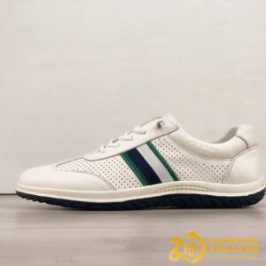 Bộ Sưu Tập Giày Gucci Low Supreme 2023 Black White 2