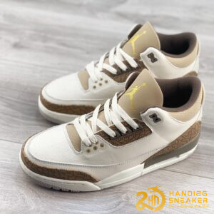 Giày Air Jordan 3 Retro Palomino CT8532 102 (1)