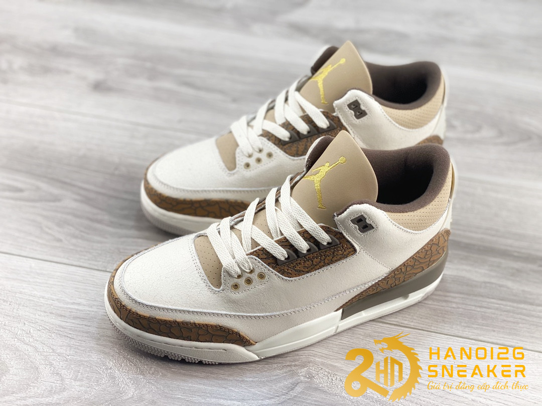 Giày Air Jordan 3 Retro Palomino CT8532 102 (1)