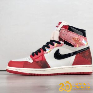 Giày Nike Air Jordan 1 Next Chapter DV1748-601