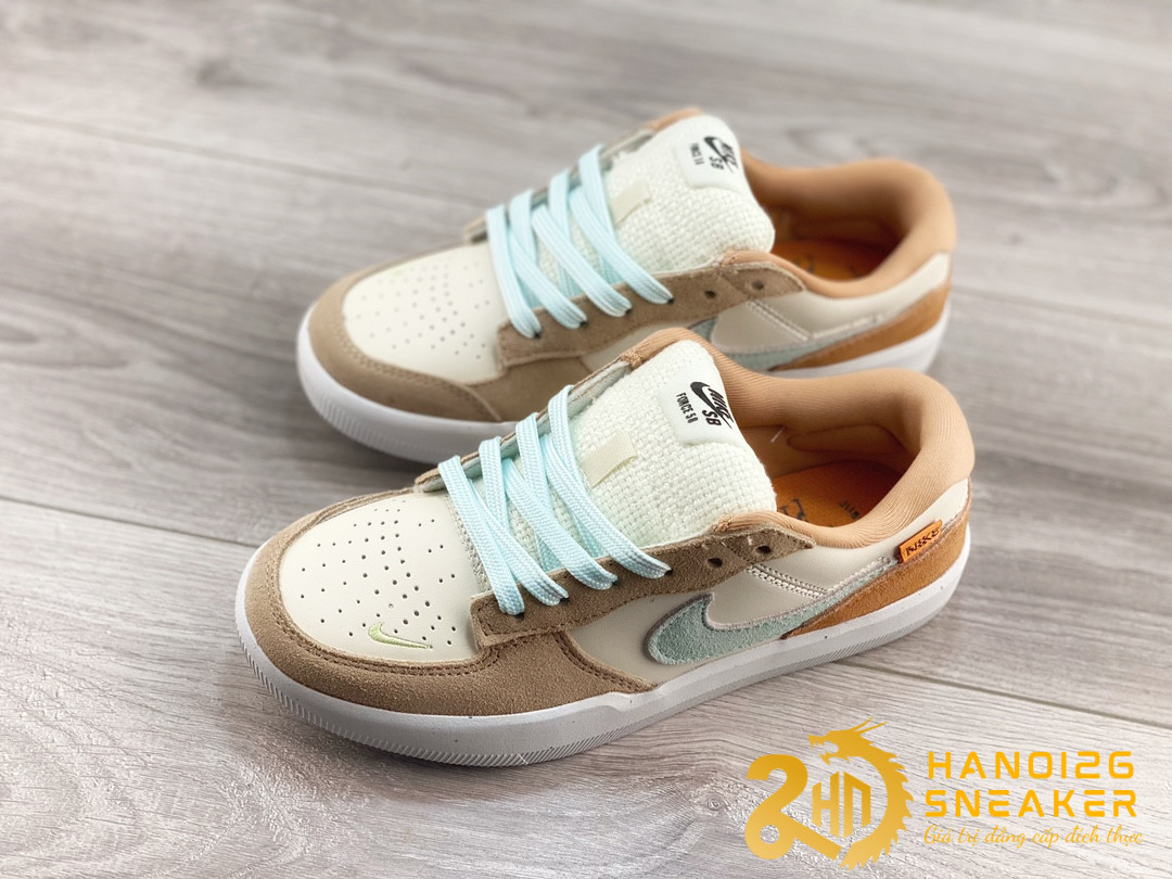 Giày Nike SB Force 58 Have A Nike Day (1)
