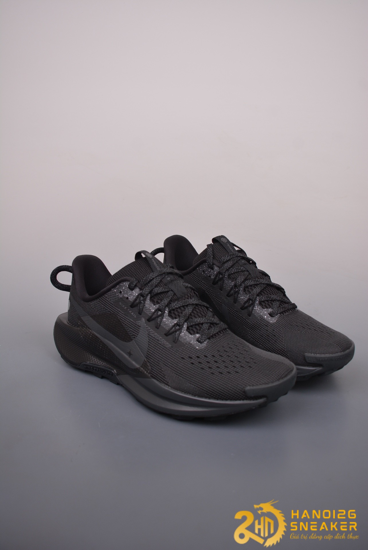 Giày Nike Pegasus Trail 5 Black Anthracite DV3864 002 (1)