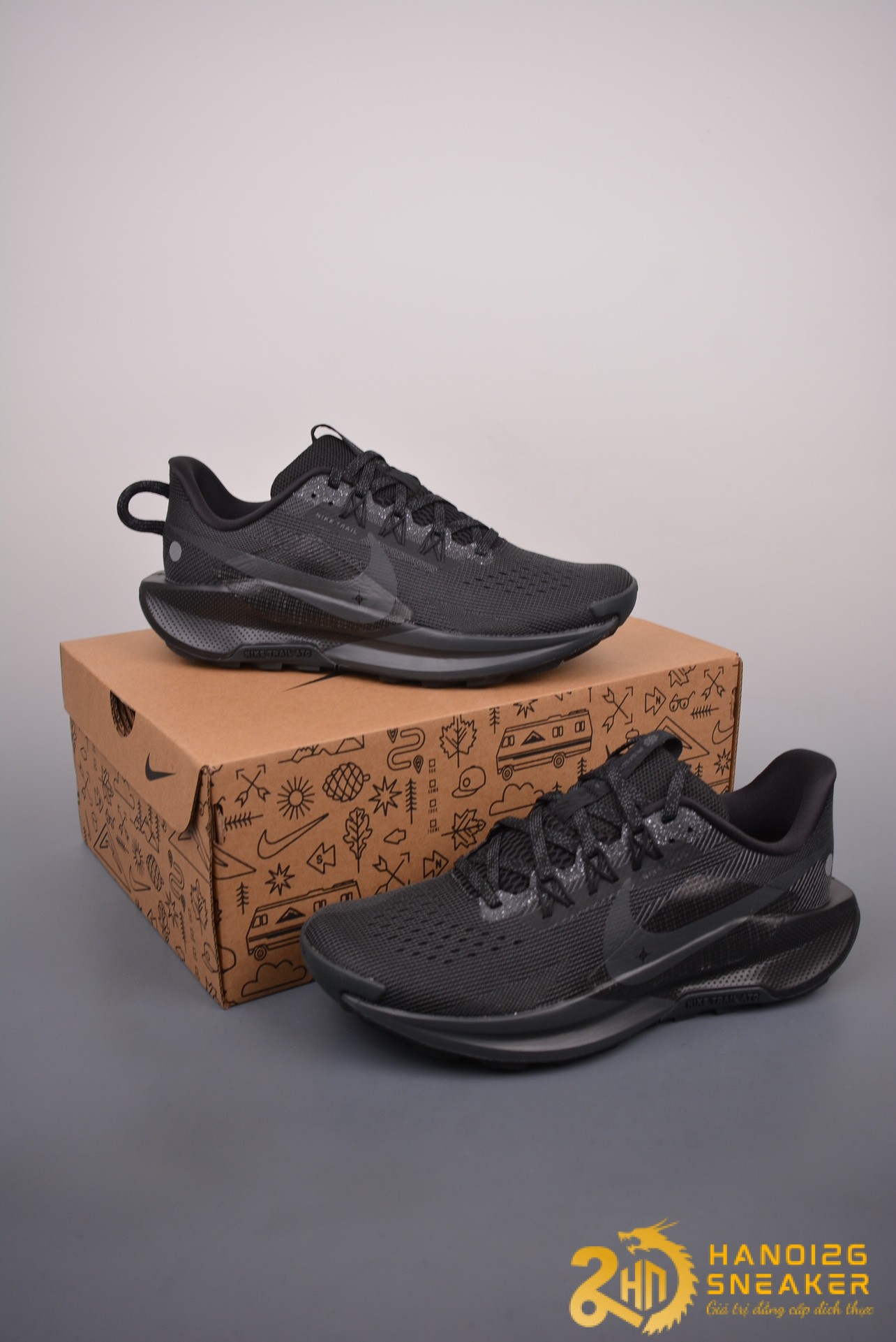 Giày Nike Pegasus Trail 5 Black Anthracite DV3864-002