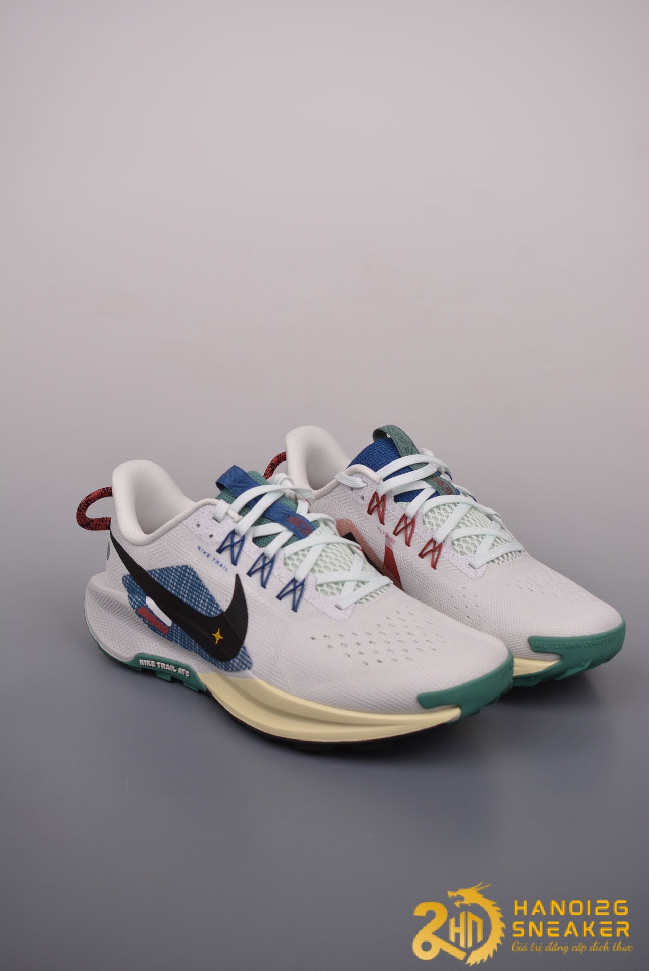 Giày Nike Pegasus Trail 5 Court Blue Cedar (1)
