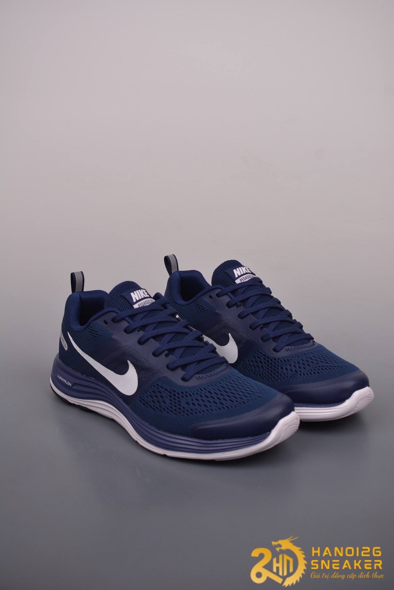 Giày Nike Air Pegasus+30X Blue White 803268 005 (1)