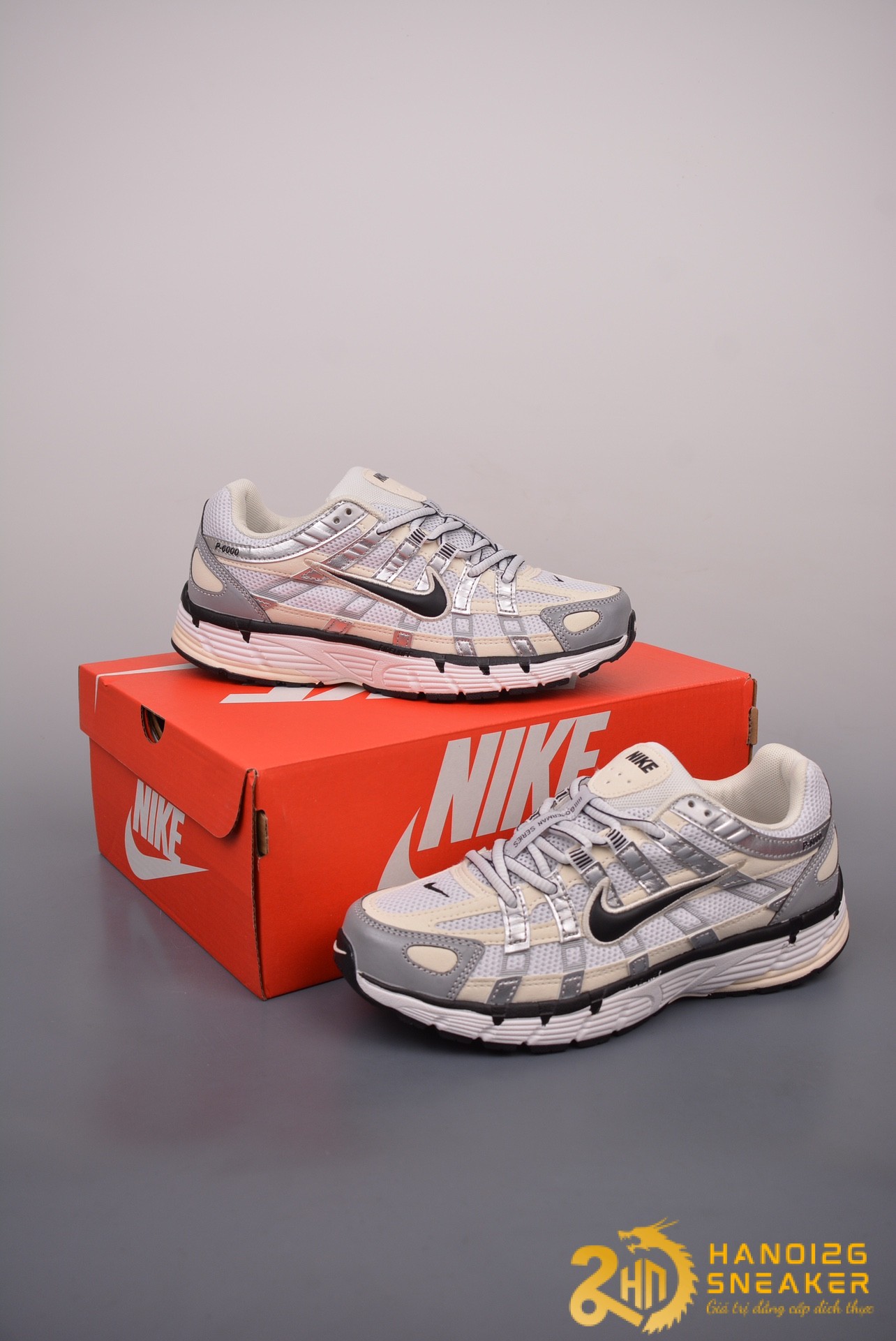 Giày Nike P-6000 Coconut Milk Metallic Silver FV6603-100