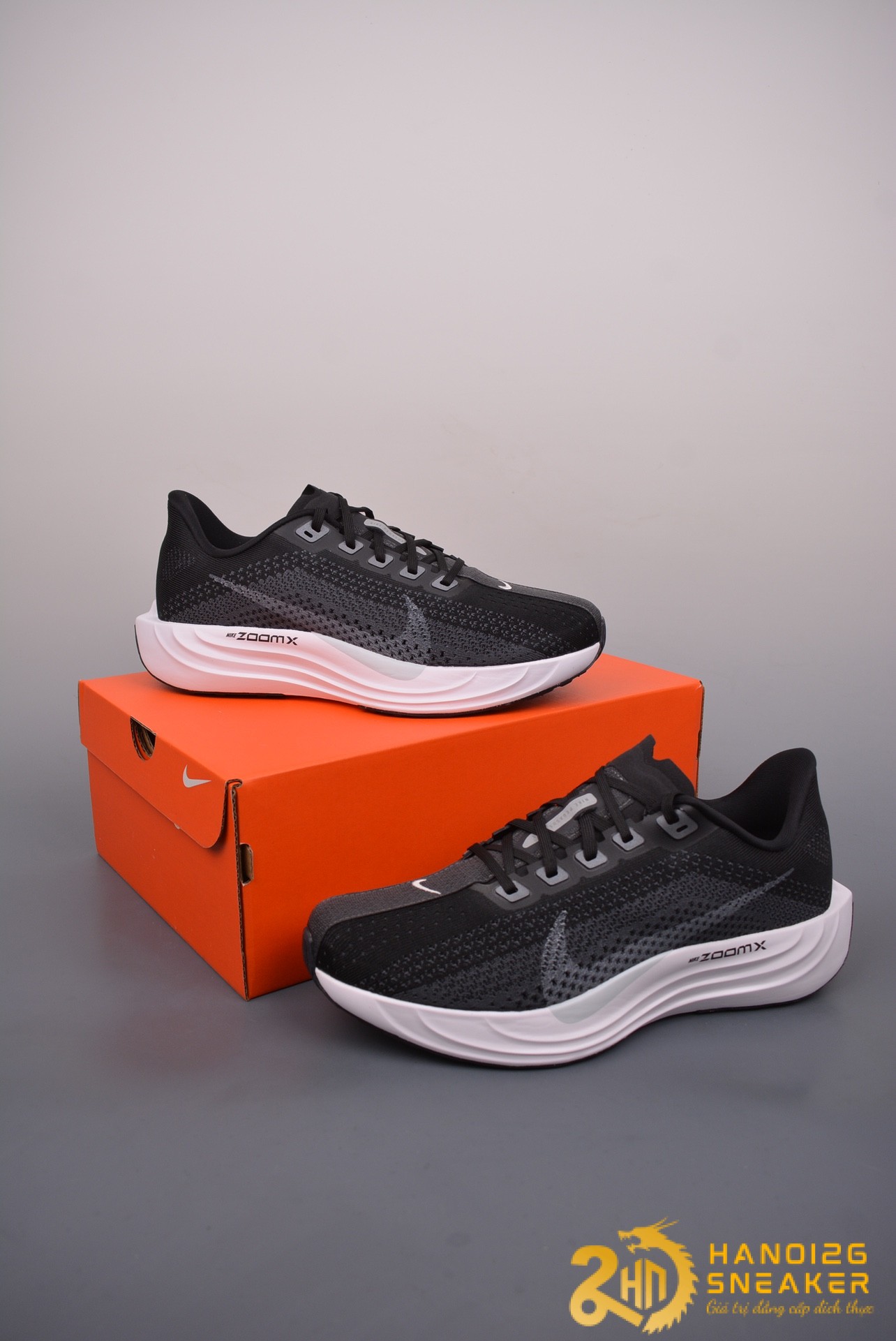 Giày Nike Pegasus Plus Black Pure Platinum FQ7262-002